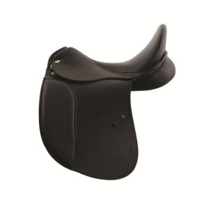 Kentaur Young Dressage 16